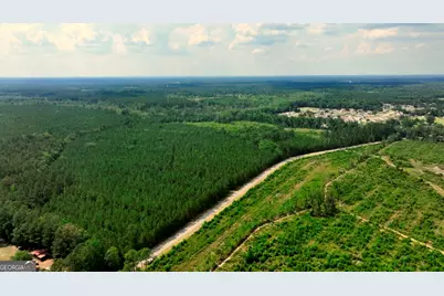 0 Highway 204 & Carlos Cowart Road, Pembroke, GA 31321 - Photo 7