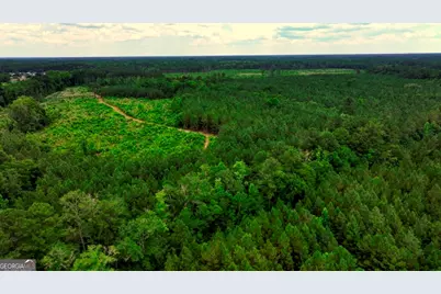 0 Highway 204 & Carlos Cowart Road, Pembroke, GA 31321 - Photo 3