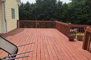 250 Rock Mill Trail, Senoia, GA 30276 - Photo 61