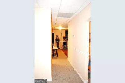 250 Rock Mill Trail, Senoia, GA 30276 - Photo 43