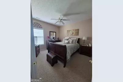 250 Rock Mill Trail, Senoia, GA 30276 - Photo 37