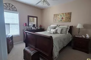 250 Rock Mill Trail, Senoia, GA 30276 - Photo 37