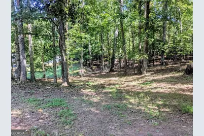35 Paces Landing Lane, Newnan, GA 30263 - Photo 23