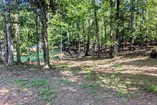 35 Paces Landing Ln, Newnan, GA 30263 - Photo 23