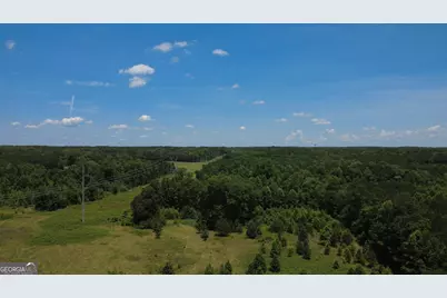 676 Linch Road, Senoia, GA 30276 - Photo 9