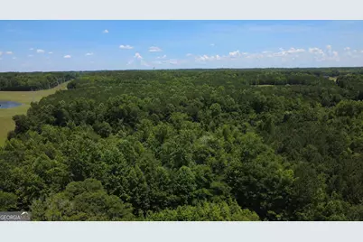 676 Linch Road, Senoia, GA 30276 - Photo 29