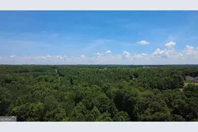 676 Linch Road, Senoia, GA 30276 - Photo 11
