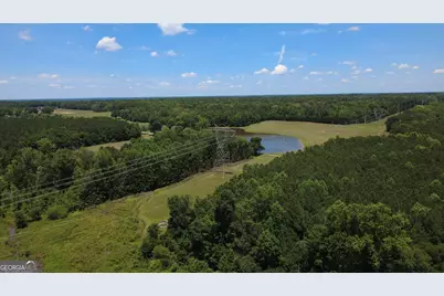 676 Linch Road, Senoia, GA 30276 - Photo 33