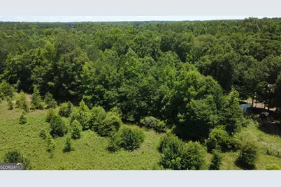 676 Linch Road, Senoia, GA 30276 - Photo 13
