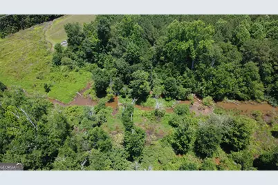 676 Linch Road, Senoia, GA 30276 - Photo 31
