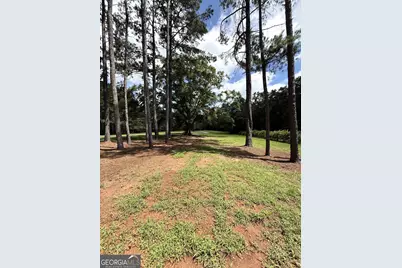 725 Musgrove Road, Griffin, GA 30223 - Photo 49