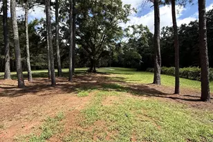 725 Musgrove Rd, Griffin, GA 30223 - Photo 49