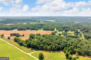 89 New House Rd, Canon, GA 30520 - Photo 19