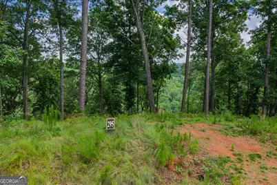 Lot 295A Pebble Trace, Talking Rock, GA 30175 - Photo 5