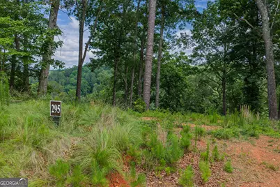Lot 295A Pebble Trace, Talking Rock, GA 30175 - Photo 3