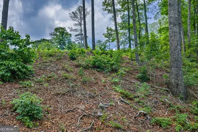 Lot 295A Pebble Trace, Talking Rock, GA 30175 - Photo 9