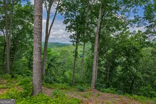 Lot 295A Pebble Trace, Talking Rock, GA 30175 - Photo 1
