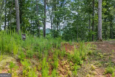 Lot 296 Pebble Trace, Talking Rock, GA 30175 - Photo 3