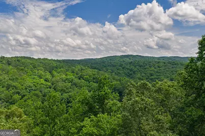 Lot 296 Pebble Trace, Talking Rock, GA 30175 - Photo 11
