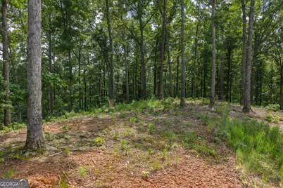 Lot 296 Pebble Trace, Talking Rock, GA 30175 - Photo 5