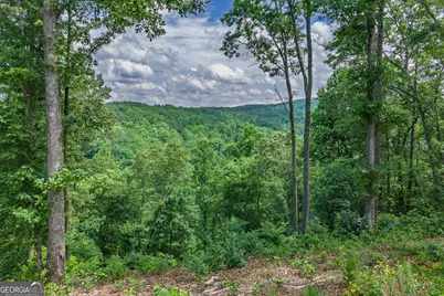 Lot 296 Pebble Trace, Talking Rock, GA 30175 - Photo 7