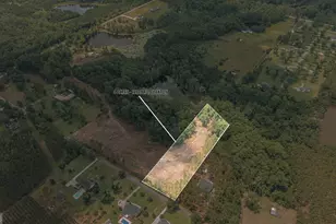 0 Issac Rd, Claxton, GA 30417 - Photo 1