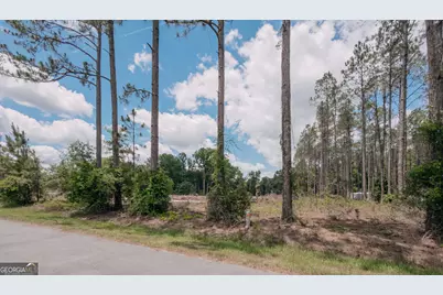 0 Issac Road, Claxton, GA 30417 - Photo 3