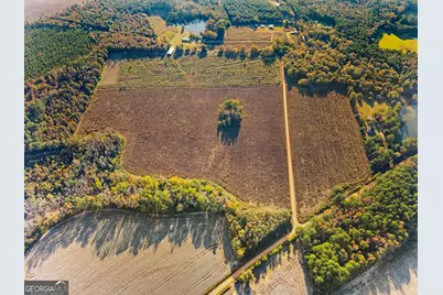 0 Waters Lane #LOT 4, Claxton, GA 30417 - Photo 3