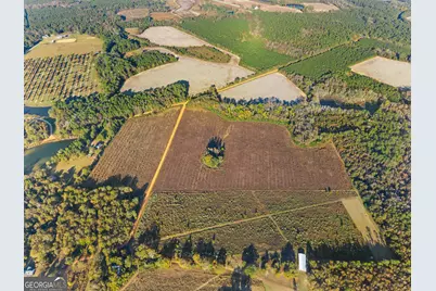 0 Waters Lane #LOT 5, Claxton, GA 30417 - Photo 5