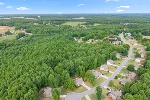 170 Fair Oaks Ct, Commerce, GA 30529 - Photo 81