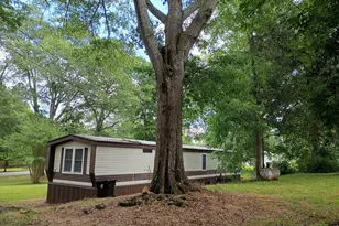 3031 S Hwy 29, Moreland, GA 30259 - Photo 15