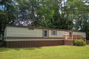 3031 S Hwy 29, Moreland, GA 30259 - Photo 1