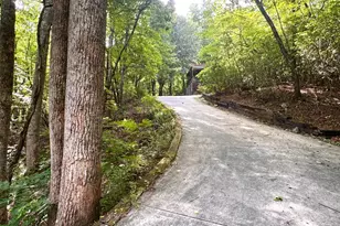 4777 Laurel Mountain Rd, Hiawassee, GA 30546 - Photo 9