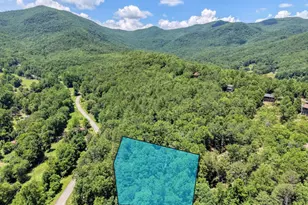4777 Laurel Mountain Rd, Hiawassee, GA 30546 - Photo 3