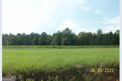 650 Howard Farm Road, Vienna, GA 31092 - Photo 9