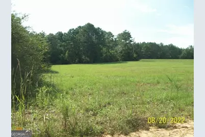 650 Howard Farm Road, Vienna, GA 31092 - Photo 5