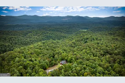 132 New Berry Street, Ellijay, GA 30540 - Photo 13
