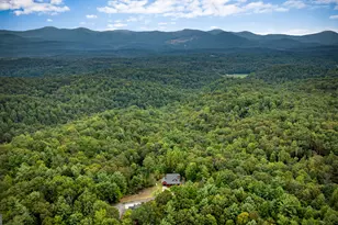 132 New Berry St, Ellijay, GA 30540 - Photo 13
