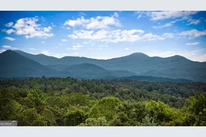 132 New Berry Street, Ellijay, GA 30540 - Photo 5