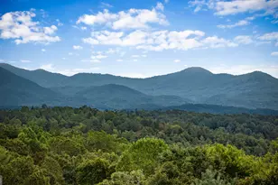132 New Berry St, Ellijay, GA 30540 - Photo 5