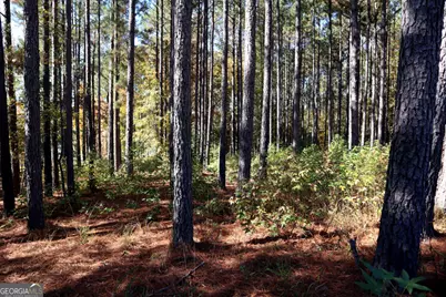 5234 Lake Crest Drive, Sparta, GA 31087 - Photo 11