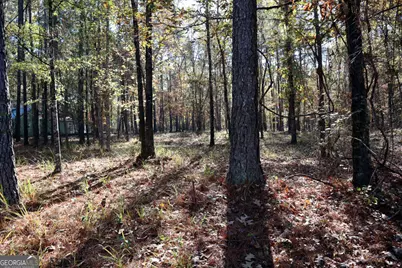 1438 Jamesway Drive, Sparta, GA 31087 - Photo 5