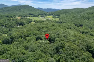 210 McDaniel Ln, Suches, GA 30572 - Photo 21