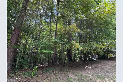 201 Stonebridge Boulevard, Bremen, GA 30110 - Photo 3