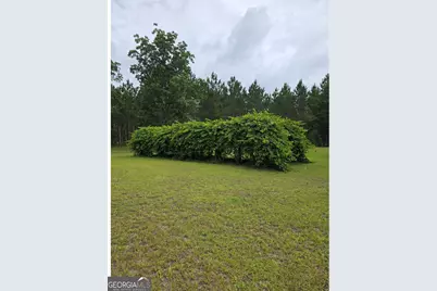 234 Robin Road, Alma, GA 31510 - Photo 7