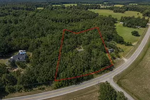 2391 Chalybeate Rd, Manchester, GA 31816 - Photo 1