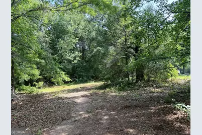 2391 Chalybeate Road, Manchester, GA 31816 - Photo 9