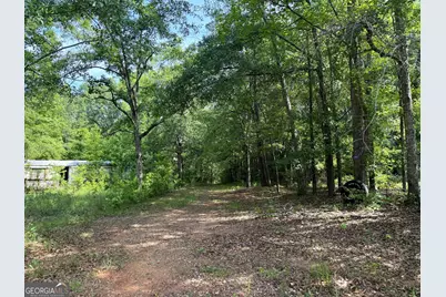 2391 Chalybeate Road, Manchester, GA 31816 - Photo 7