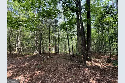 2391 Chalybeate Road, Manchester, GA 31816 - Photo 13