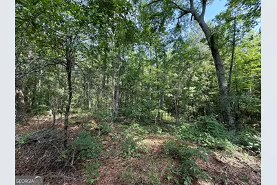2391 Chalybeate Road, Manchester, GA 31816 - Photo 15